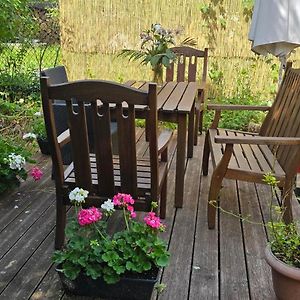 Appartement Avec Jardin A Colmar